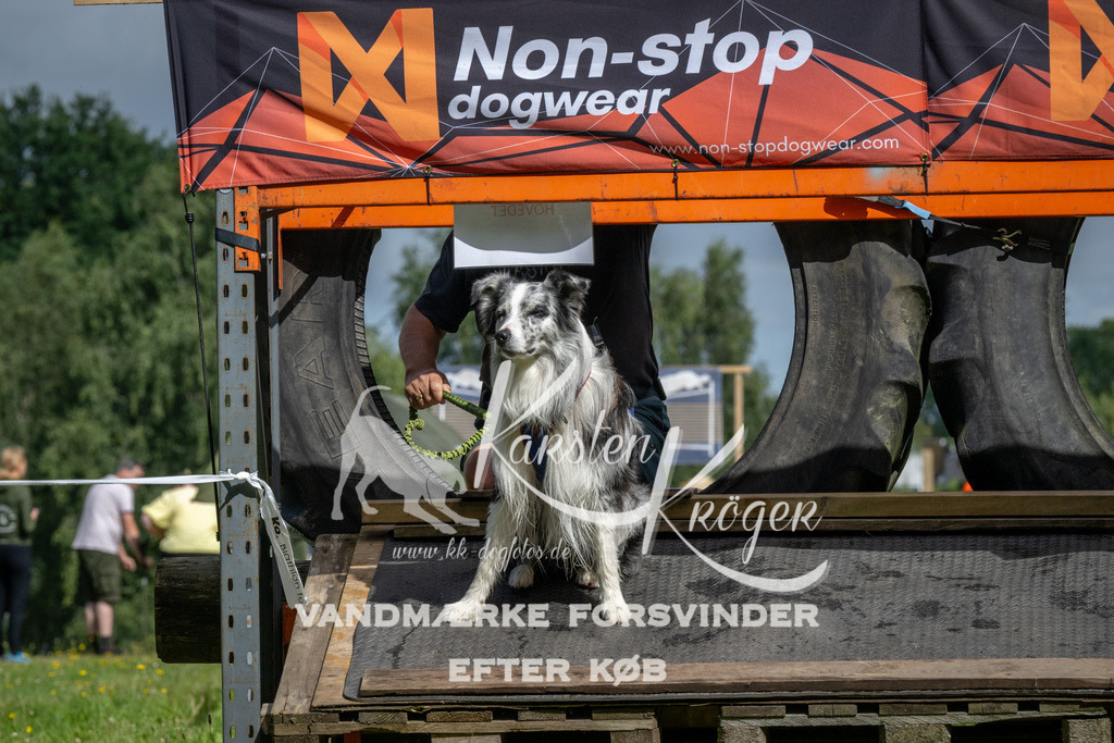 1134_ZZ92518 | kk-dogfotos