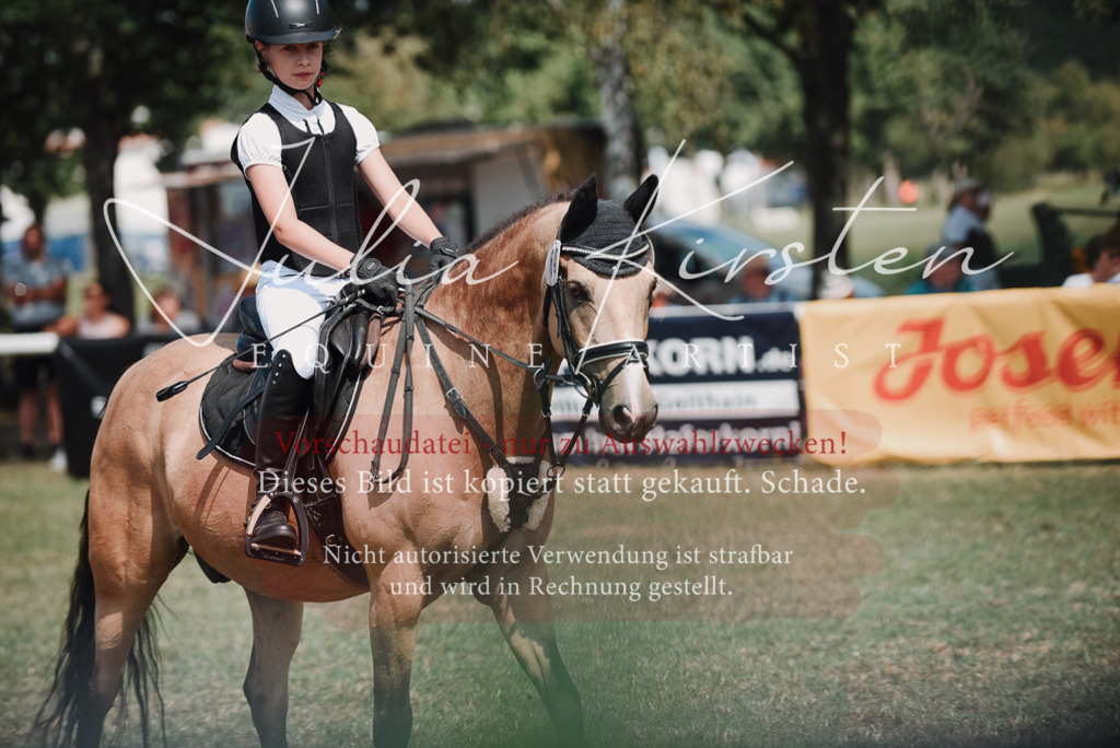 DSC_5853 | Pferde- und Turnierfotografie in Westsachsen. Pferdeportraits, Auftragszeichnungen und intuitive Kunst.