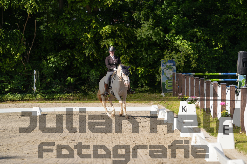 DSC00745 | Julian Held Fotografie - Realisiert mit Pictrs.com