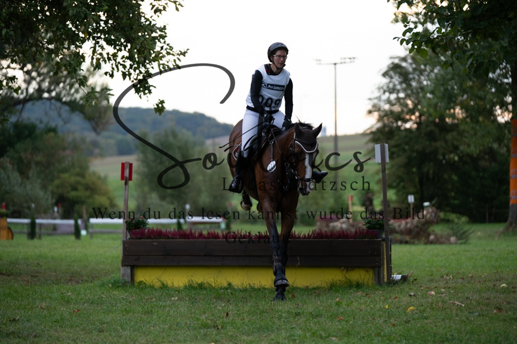 A7V02925 | Pferdefotograf