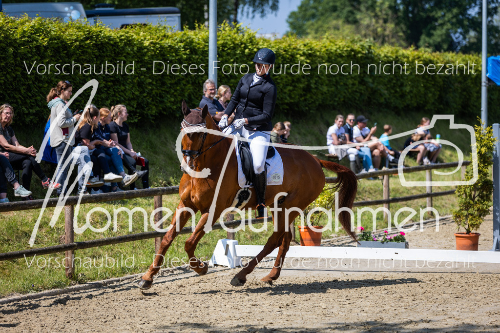 Donop24-L-Dre-069 | MomenTaufnahmen Pferdesportfotos