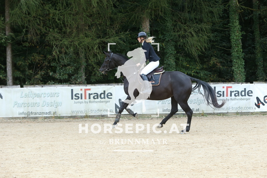 DL2Q1106 | Willkommen bei Brunnmayr - Design & Fotografie – Ihrem Spezialisten für Reitturniere und Pferdeveranstaltungen in Oberösterreich, Salzburg und Bayern! Seit über 17 Jahren sind wir leidenschaftlich dabei.