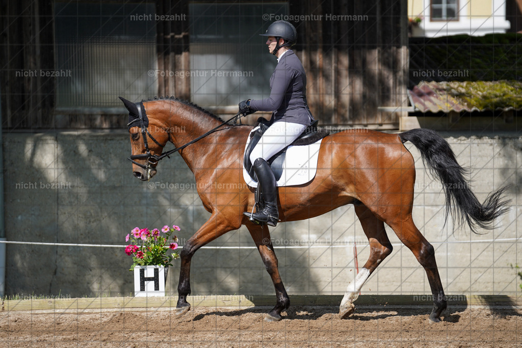 20240519-FAH04737 | Turnierbilder Niederseeon 2024, Vielseitigkeitsdressur, Reitsportbilder aus dem Landkreit Ebersberg, Gut Steinsee, RC Steinsee, Fotoagentur Herrmann