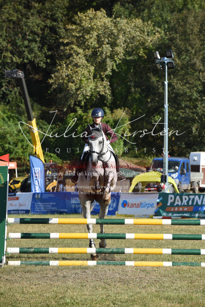 DSC_5247 | Pferde- und Turnierfotografie in Westsachsen. Pferdeportraits, Auftragszeichnungen und intuitive Kunst.