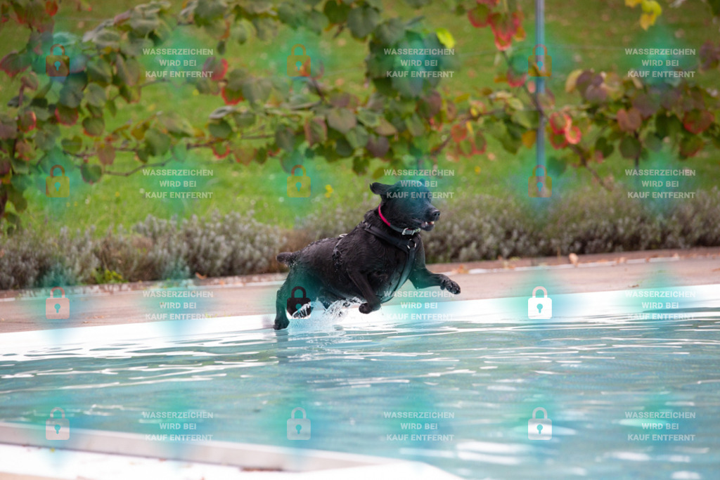 _HP_7506_1000o | HetPix, HetPix Fotodesign, Fotografie, Fotodesign, Webshop, Sportfotografie, Portraitfotografie, Onlineshop, Sportfotografie, Polch, Motorsportfotografie, Eventfotografie