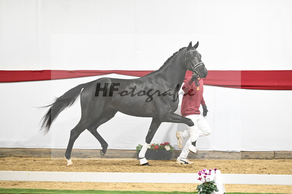 Kat-Nr. 58 v. Donier_Heilemann_63221764 | hf-fotografie - Realizzato con Pictrs.com