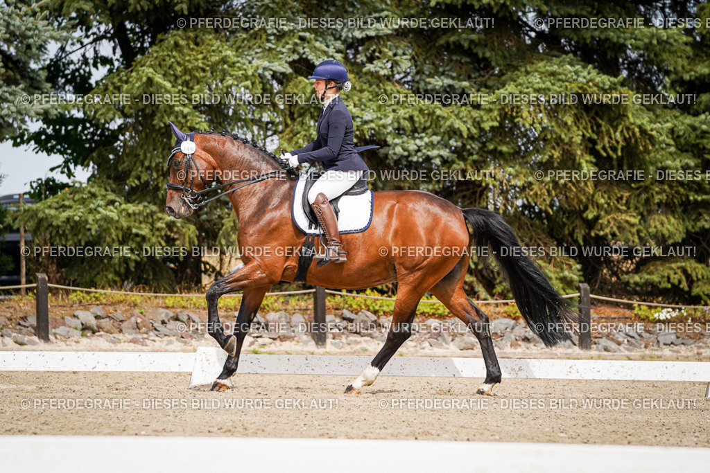 DSC05125 | Pferdegrafie