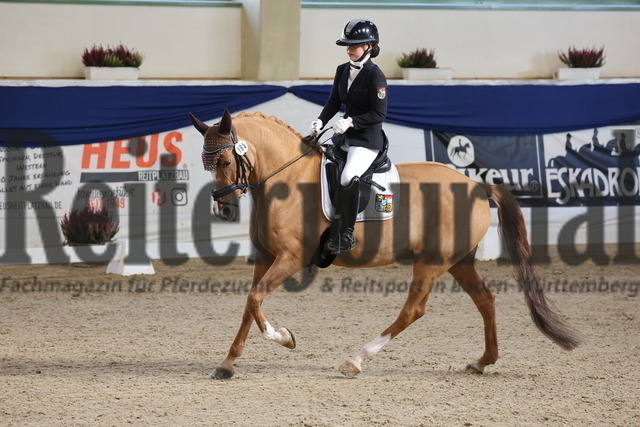 Ising_2025_Prfg.Nr.20_Pony-Dressurprfg.Kl.L_Kür_Lakeysha Eiselt_Crown Wishing Well (8) | Alle Fotos der Reiterjournal Fotografin Doris Matthaes im Reiterjournal Online-Fotoshop. - Realisiert mit Pictrs.com