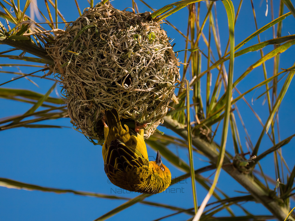PANA2852-Bearbeitet-2017-LR | Natur im Moment - Realisiert mit Pictrs.com