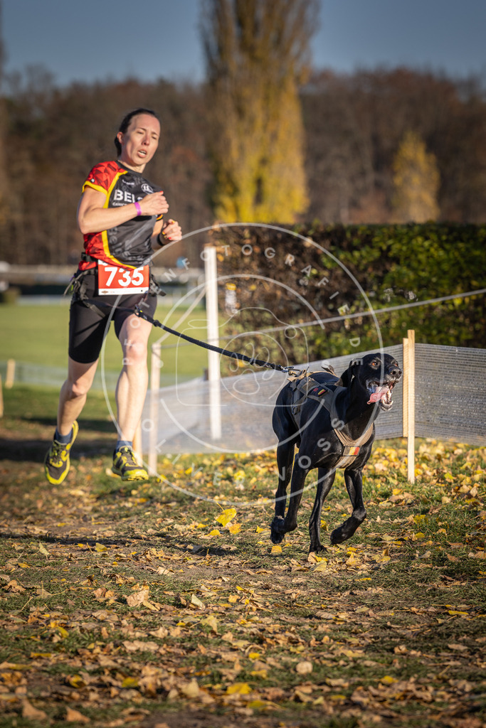 CaniXpix_DV3A2132 | Hundefotografie, Tierfotograf, Pfotenfotografie, Fotoshooting Hund, Hunde Portrait, Hundesport, Hundeportraits, Heideshooting, Hunde, Sportfotograf, Hundefotograf, Turnierhundsport, THS,  - Realisiert mit Pictrs.com