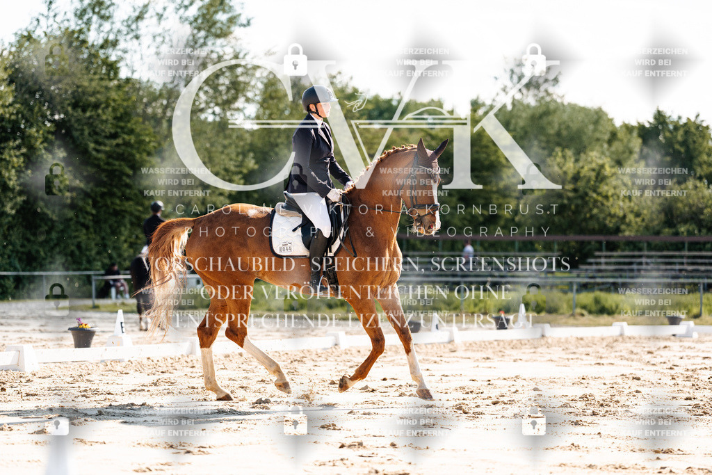 CK909338 | Turnierfotografie Pferdefotografie Trier Rheinland-Pfalz Pferdesport Reitsport Tierfotografie Sportfotografie Pferdevideo Pferdevideografie Equestrianvideography equestrianphotography  - Realisiert mit Pictrs.com