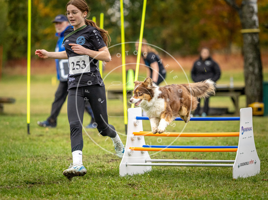 Pfotenfotografie_DV3A0423 | Hundefotografie, Tierfotograf, Pfotenfotografie, Fotoshooting Hund, Hunde Portrait, Hundesport, Hundeportraits, Heideshooting, Hunde, Sportfotograf, Hundefotograf, Turnierhundsport, THS,  - Realisiert mit Pictrs.com