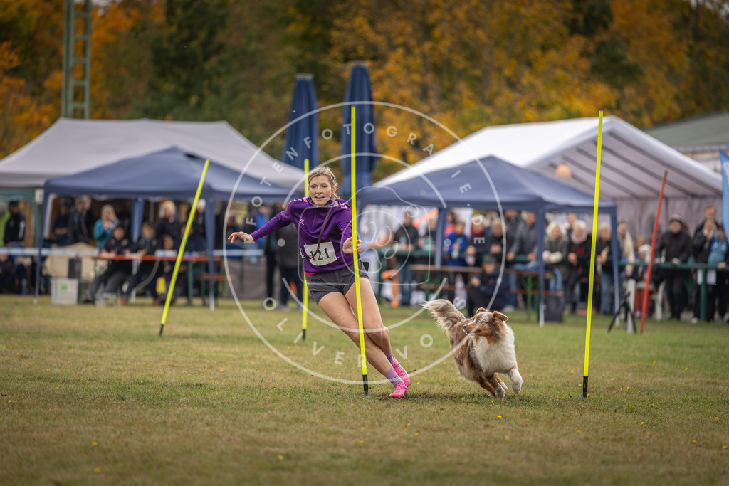 Pfotenfotografie_DV3A7648 | Hundefotografie, Tierfotograf, Pfotenfotografie, Fotoshooting Hund, Hunde Portrait, Hundesport, Hundeportraits, Heideshooting, Hunde, Sportfotograf, Hundefotograf, Turnierhundsport, THS,  - Realisiert mit Pictrs.com