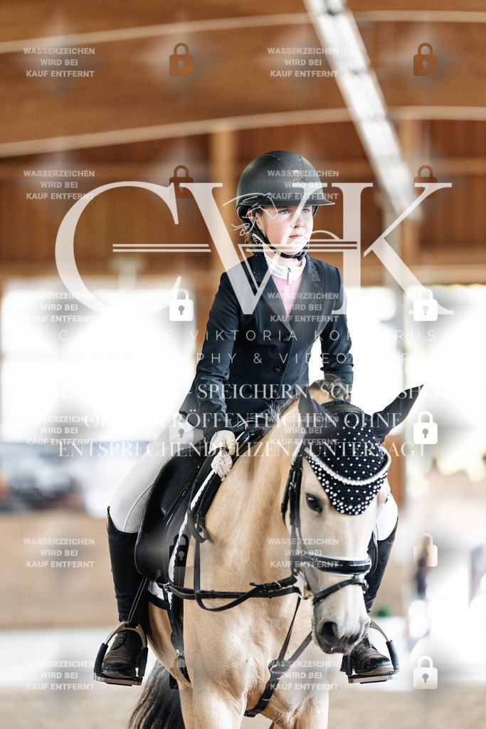 CK901600 | Turnierfotografie Pferdefotografie Trier Rheinland-Pfalz Pferdesport Reitsport Tierfotografie Sportfotografie Pferdevideo Pferdevideografie Equestrianvideography equestrianphotography  - Realisiert mit Pictrs.com