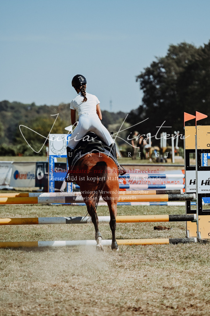 DSC_9890 | Pferde- und Turnierfotografie in Westsachsen. Pferdeportraits, Auftragszeichnungen und intuitive Kunst.