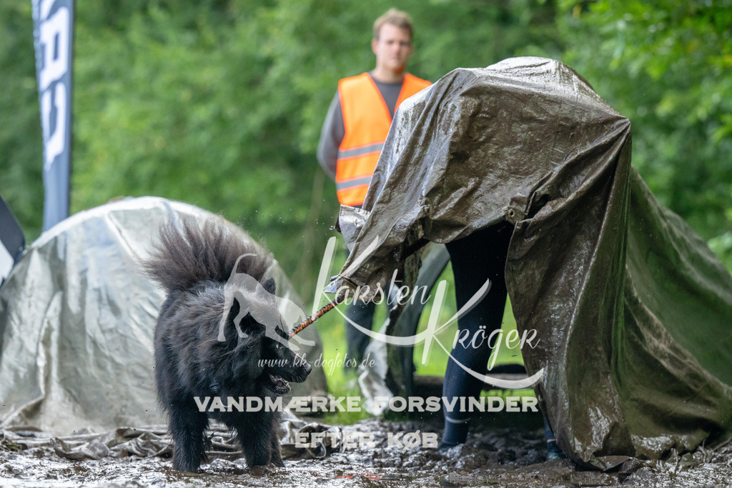 1154_ZZ90214 | kk-dogfotos