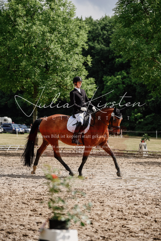 DSC_9801 | Pferde- und Turnierfotografie in Westsachsen. Pferdeportraits, Auftragszeichnungen und intuitive Kunst.