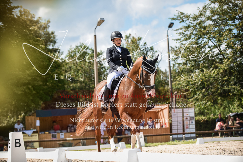 DSC_9352 | Pferde- und Turnierfotografie in Westsachsen. Pferdeportraits, Auftragszeichnungen und intuitive Kunst.