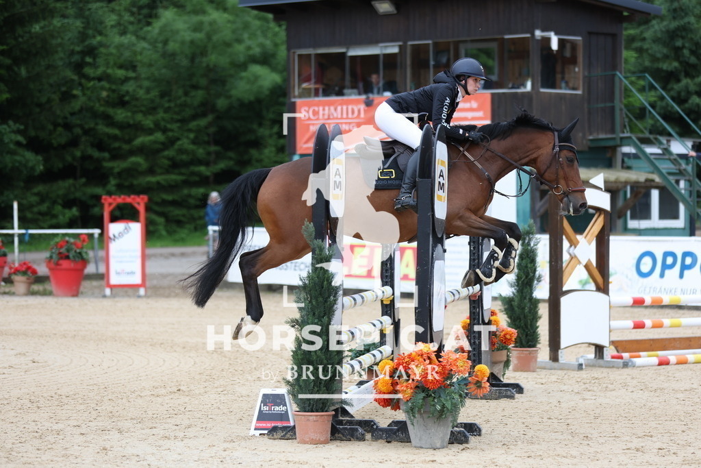 0P6A4266 | Willkommen bei Brunnmayr - Design & Fotografie – Ihrem Spezialisten für Reitturniere und Pferdeveranstaltungen in Oberösterreich, Salzburg und Bayern! Seit über 17 Jahren sind wir leidenschaftlich dabei.
