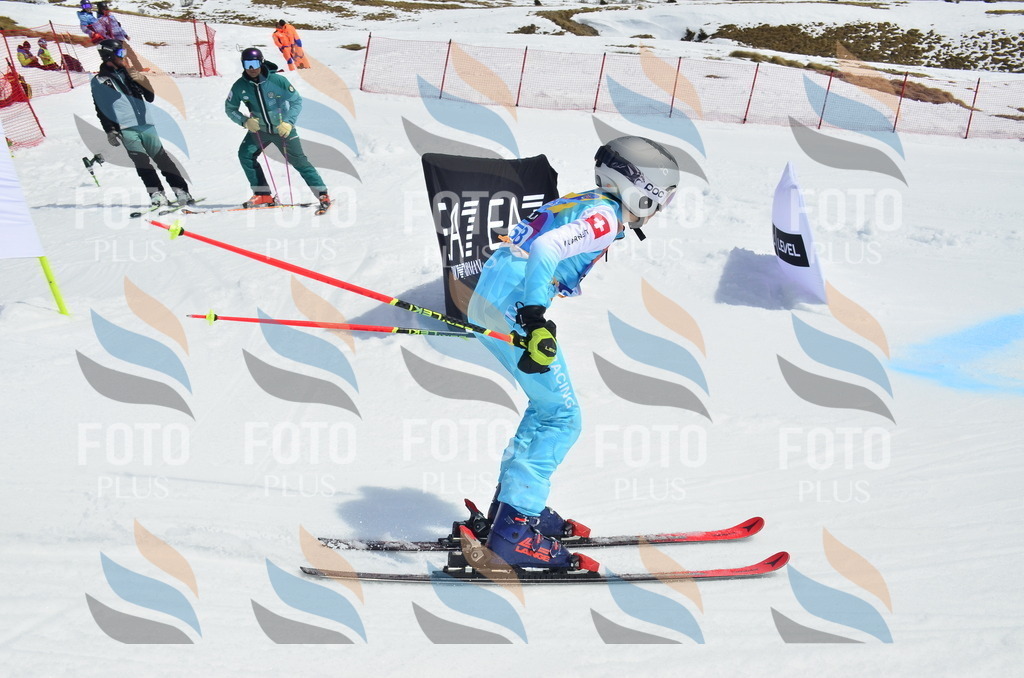 _ELE1913 | holidayphoto