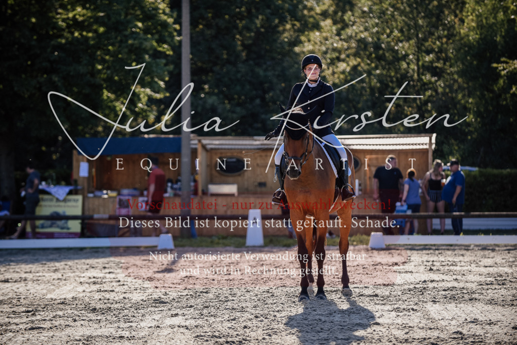 DSC_0664 | Pferde- und Turnierfotografie in Westsachsen. Pferdeportraits, Auftragszeichnungen und intuitive Kunst.