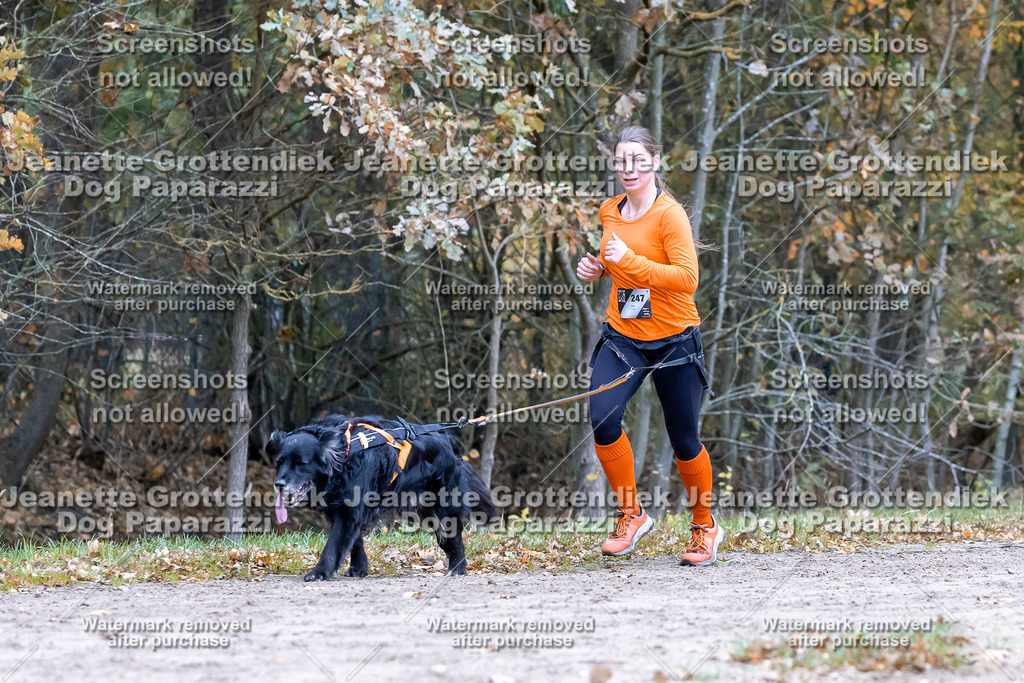 Dog Paparazzi - SD CaniX Championship 2025-517 | Dog Paparazzi Jeanette Grottendiek Fotografie & Videografie - Realisiert mit Pictrs.com