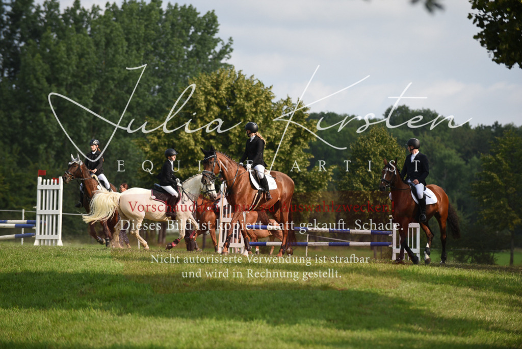 DSC_8614 | Pferde- und Turnierfotografie in Westsachsen. Pferdeportraits, Auftragszeichnungen und intuitive Kunst.