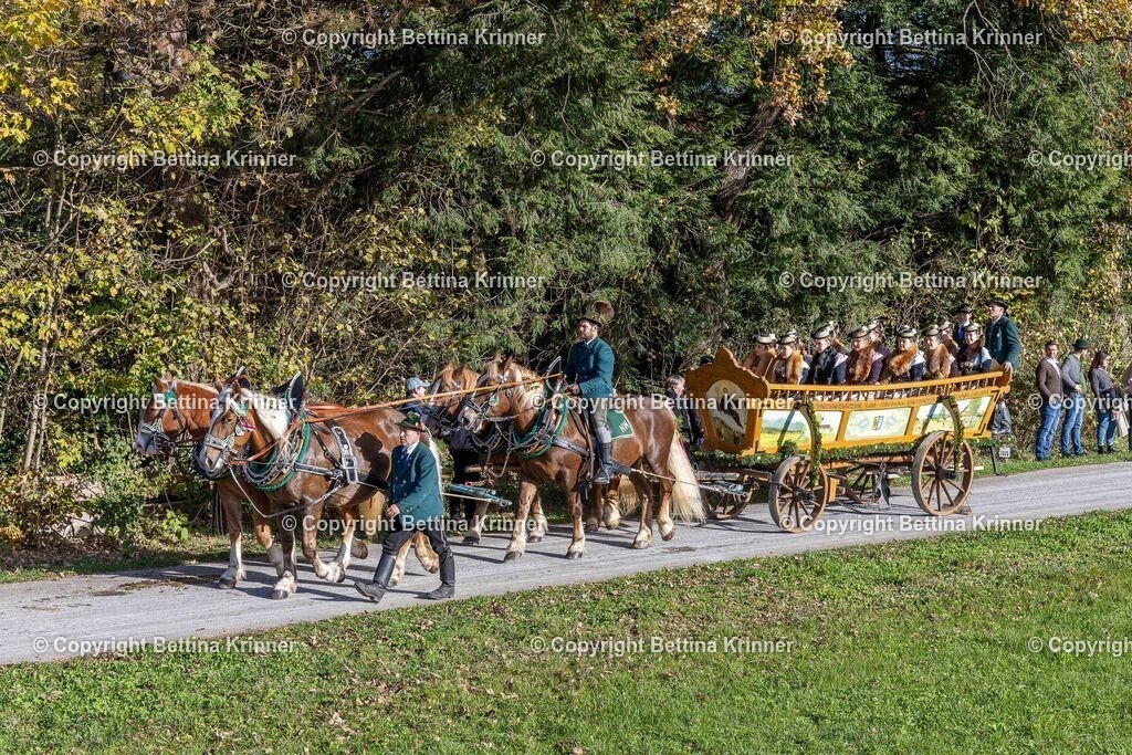 LBT24-516 | foto-bettina-krinner - Realisiert mit Pictrs.com