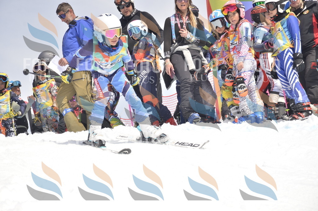 _ELE8480 | holidayphoto