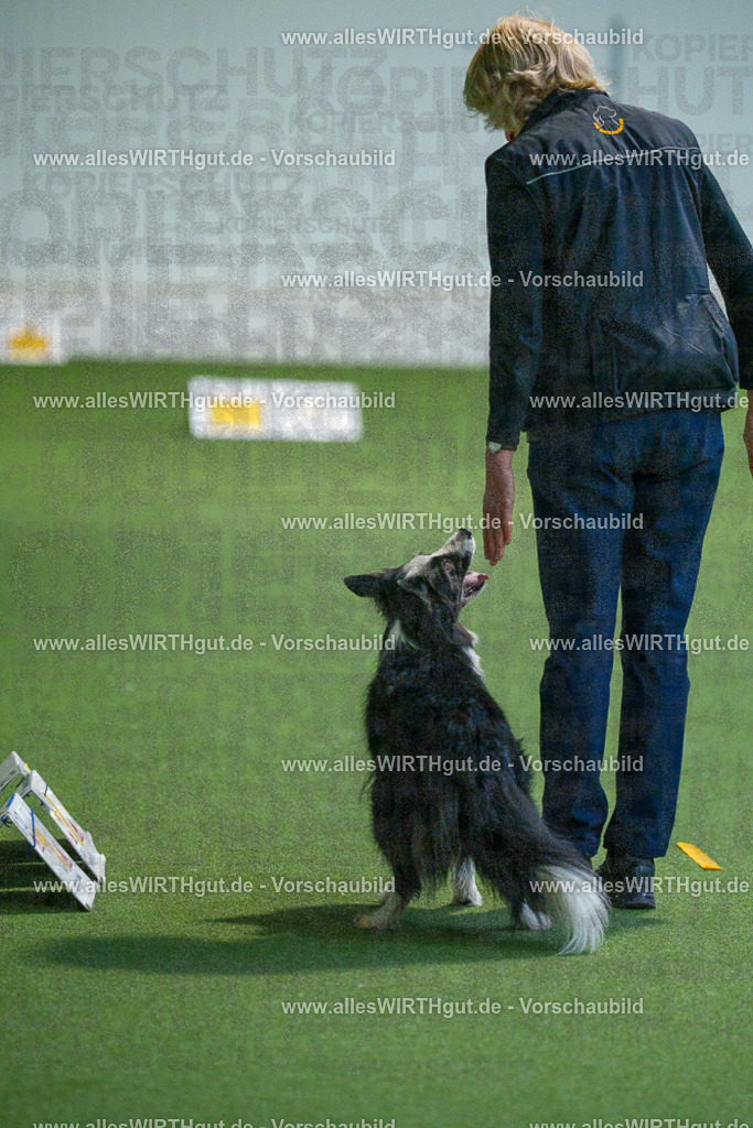 7R502749 | Professionelle Tierfotografie in Mönchengladbach von Daniel Wirth (allesWIRTHgut). Liebevolle & natürliche Bilder von Hunden & Katzen für unvergessliche Erinnerungen.