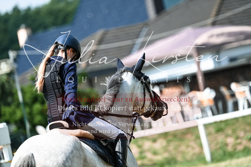 DSC_8801 | Pferde- und Turnierfotografie in Westsachsen. Pferdeportraits, Auftragszeichnungen und intuitive Kunst.