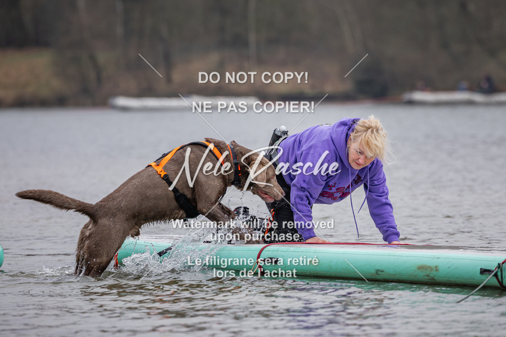 nelerasche_Hulsbeek_Sa1430-1515_41 | nelerasche