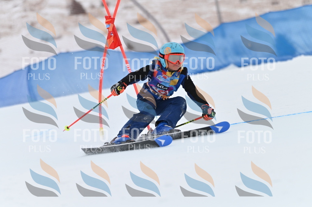 BGV_9958 | holidayphoto