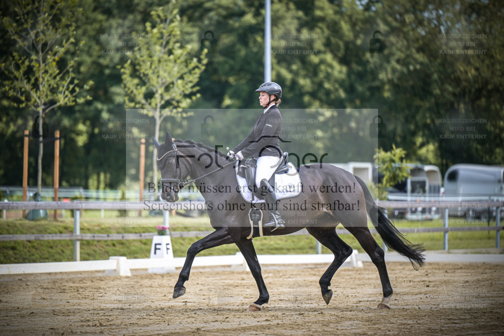 DOS_0735 | Entdecke hochwertige Reitturnierfotos von Foto Oger. Professionell, emotional und authentisch – jetzt Lieblingsmomente im Shop bestellen. - Realisiert mit Pictrs.com