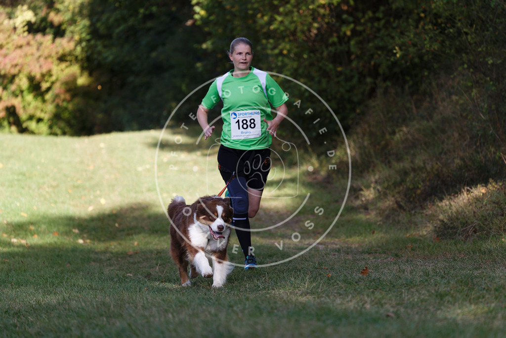 0L8A5749 | Hundefotografie, Tierfotograf, Pfotenfotografie, Fotoshooting Hund, Hunde Portrait, Hundesport, Hundeportraits, Heideshooting, Hunde, Sportfotograf, Hundefotograf, Turnierhundsport, THS,  - Realisiert mit Pictrs.com
