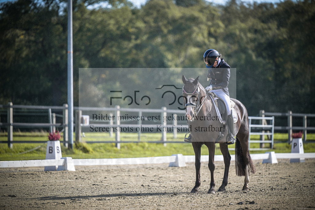 DOS_0679 | Entdecke hochwertige Reitturnierfotos von Foto Oger. Professionell, emotional und authentisch – jetzt Lieblingsmomente im Shop bestellen.Deutschlandweite Turnierfotografie. - Realisiert mit Pictrs.com