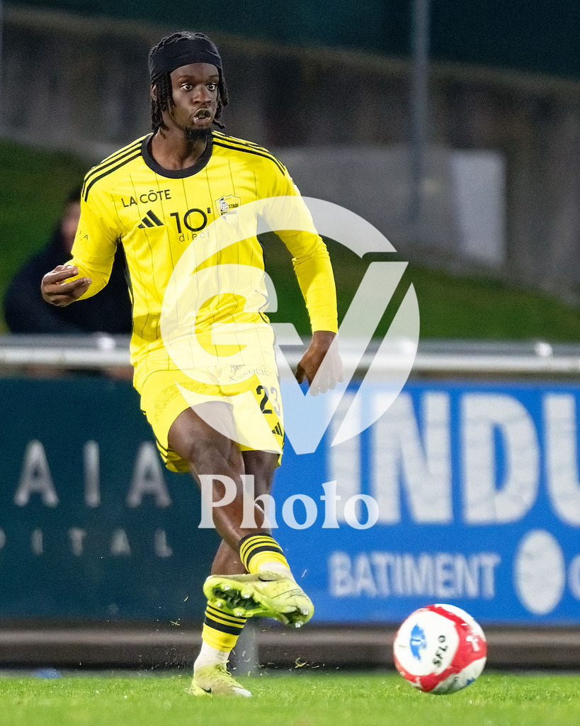 dieci Challenge League - FC Stade Nyonnais v Etoile Carouge FC |  during the dieci Challenge League match between FC Stade Nyonnais and Etoile Carouge FC at Centre sportif de Colovray in Nyon, Switzerland