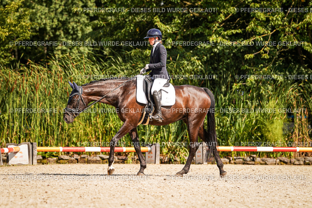 DSC00842 | Pferdegrafie