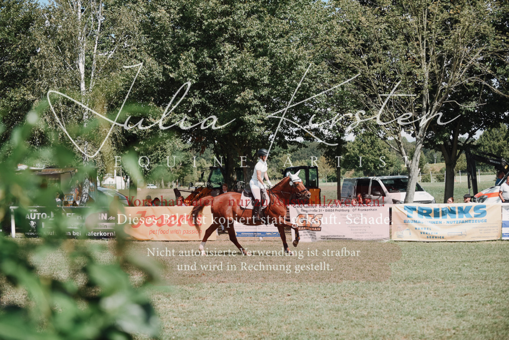 DSC_5751 | Pferde- und Turnierfotografie in Westsachsen. Pferdeportraits, Auftragszeichnungen und intuitive Kunst.