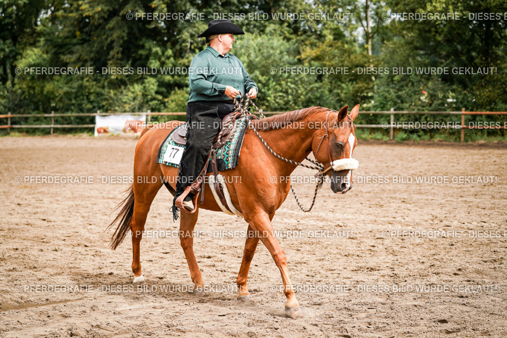 DSC04757 | Pferdegrafie