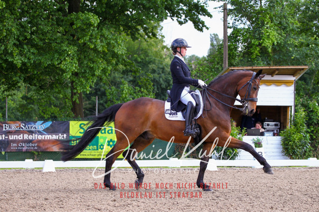 DKP41695 | Deine Turnierfotos vom Reitturnier online kaufen: Dressur, Springen & Siegerehrung. Professionelle Pferdefotografie aus dem Rheinland – als Download & Print.Alternative: Turnierfotograf für den Pferdesport: Finde deine Fotos von Dressur- und Springturnier