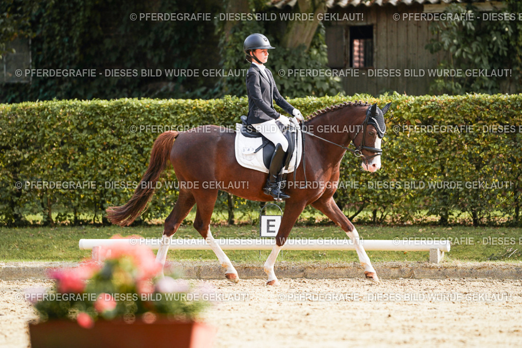 DSC05181 | Pferdegrafie