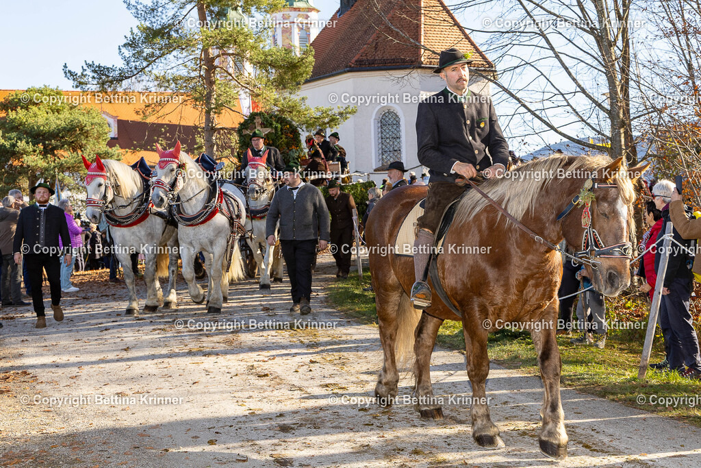 LBT25-1268 | foto-bettina-krinner - Realisiert mit Pictrs.com