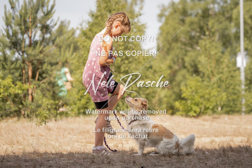 nelerasche_soDD2_282 | nelerasche