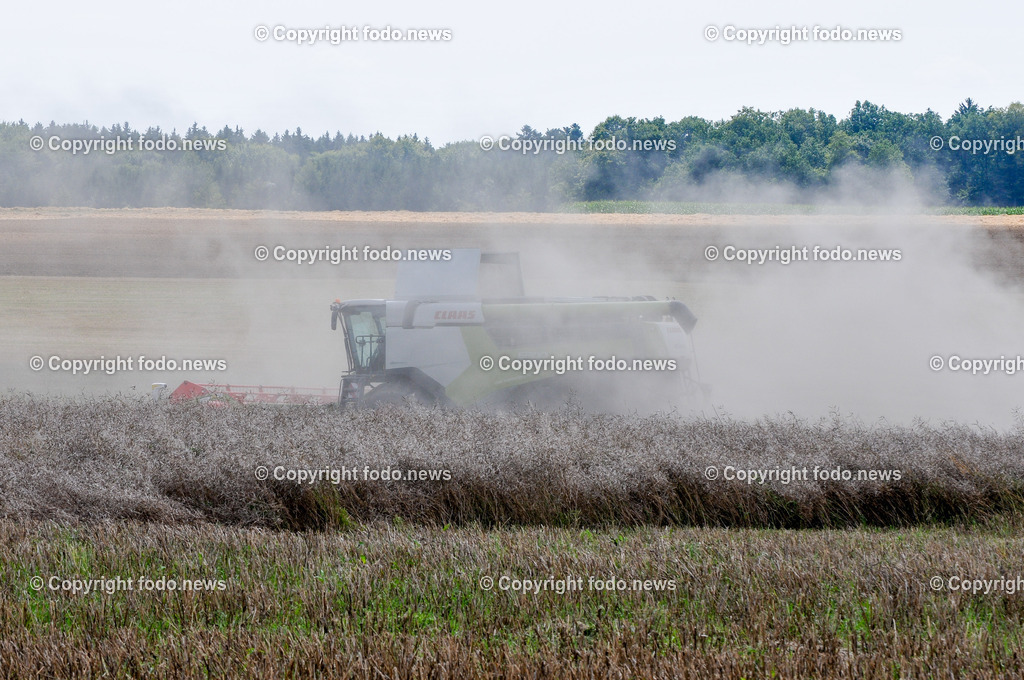 Landwirtschaft_ Feldarbeit_ 25.07.2024-2 | 25.07.2024, Linz, AUT, Feldarbeit, im Bild Maehdrescher, Ernte, Landmaschine, Feldarbeit, Getreide, Bauer, Landwirt, Landwirtschaft, Feld, Traktor, Stroh