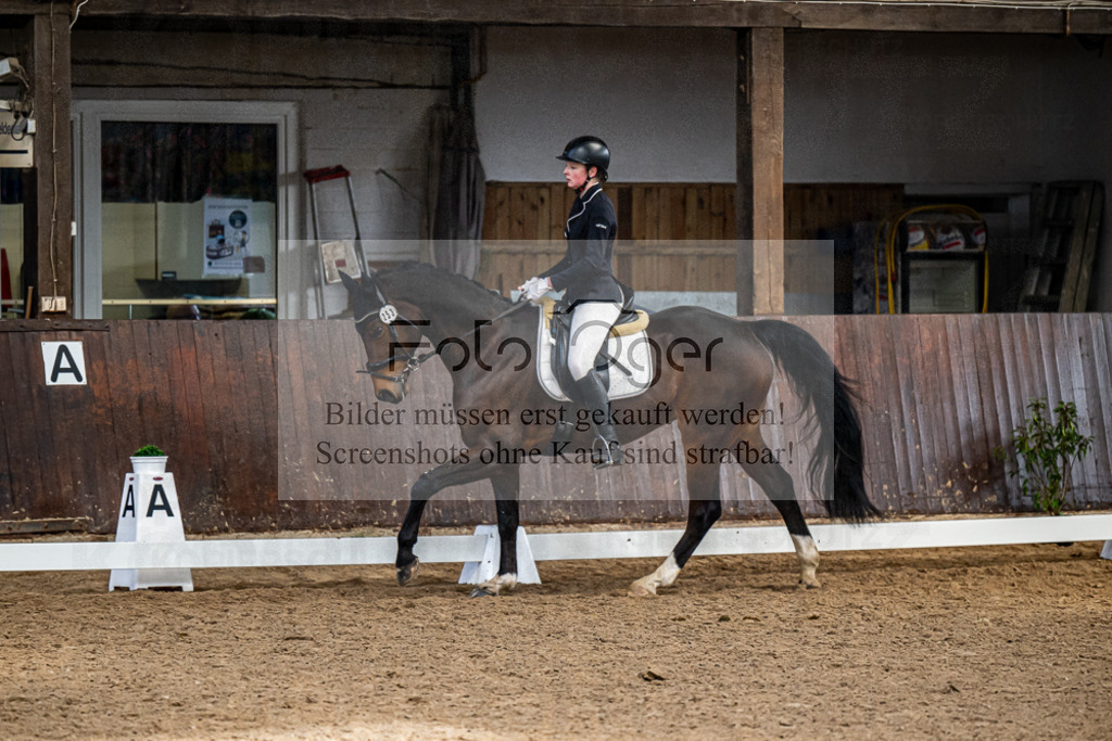 20240310-DOS_0165 | Entdecke hochwertige Reitturnierfotos von Foto Oger. Professionell, emotional und authentisch – jetzt Lieblingsmomente im Shop bestellen.Deutschlandweite Turnierfotografie. - Realisiert mit Pictrs.com