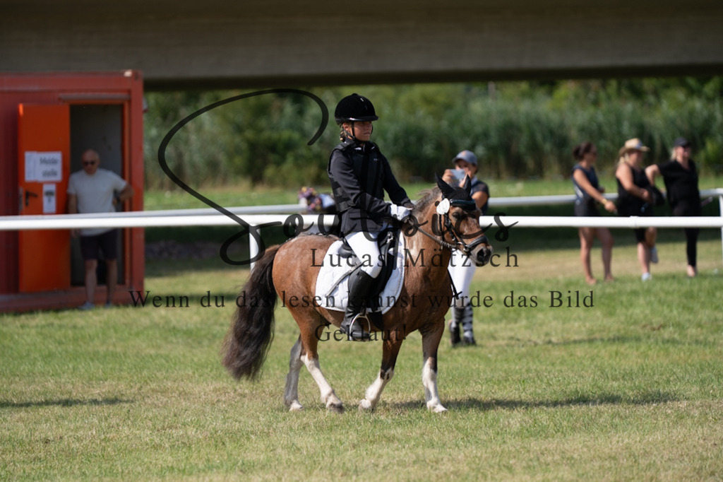 A7V00495 | Turnier/Reitfotograf