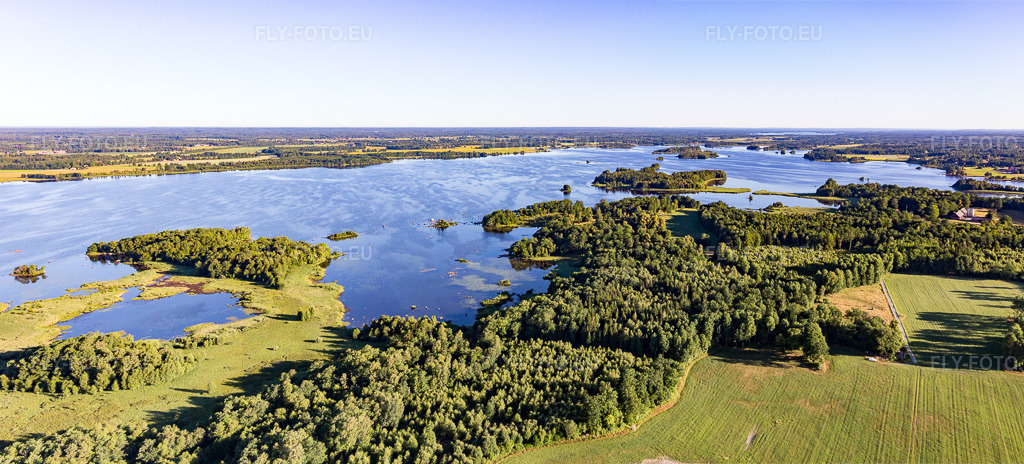 Vue aérienne: Zones boisées sur les rives du lac Åsnen, aux eaux couleur de lande, près de Vrankunge, dans le Småland. à Grimslöv dans le département Kronobergs län, Suède. Photo: IMG_108329-Pano.jpg prise le 30/06/2018 par Werner Riehm/FLY-FOTO.euRésolution de l'original: 8043 x 3648 px