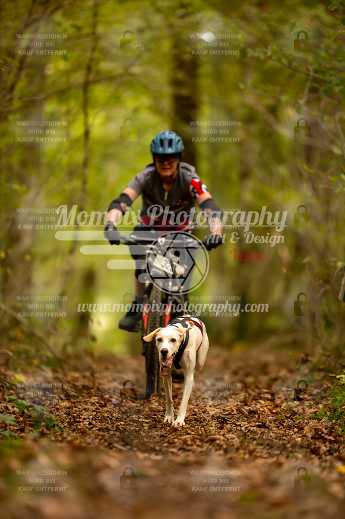 TSB_2023_E1_Bike-78 | PayLife