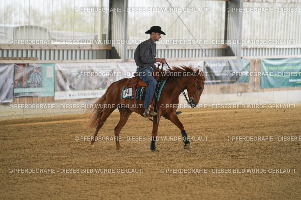 DSC07753 | Pferdegrafie